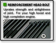 STRENGTHENED HEAD BOLT STRENGTHENED HEAD BOLT