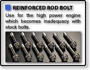 REINFORCED ROD BOLT REINFORCED ROD BOLT