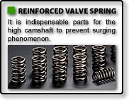 RACING VALVE SPRING RACING VALVE SPRING